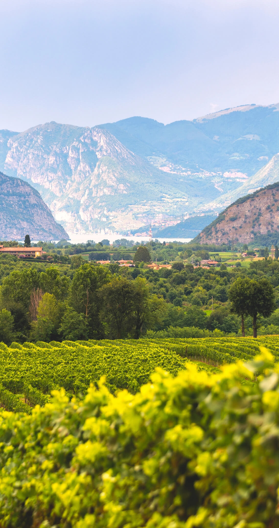 Sapori di Franciacorta