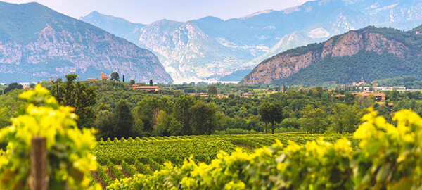 Sapori di Franciacorta